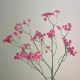 Artificial Gypsophila | Pink Baby's Breath 62cm - G017 D4