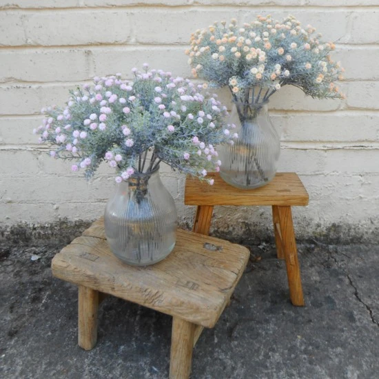 Short Stem Gypsophila Peach 32cm - G026 G3