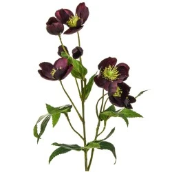 Artificial Helleborus Christmas Roses Burgundy 55cm - H132 