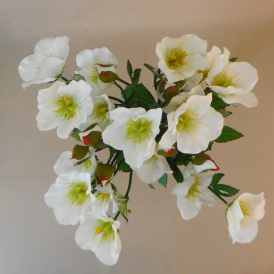 Artificial Hellebores Plant Ivory 41cm - H057 BX13