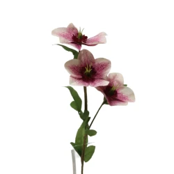 Artificial Helleborus Christmas Roses Burgundy Pink 38cm - H005 H3