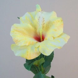 Artificial Hibiscus Flower and Bud Yellow 62cm - H048 