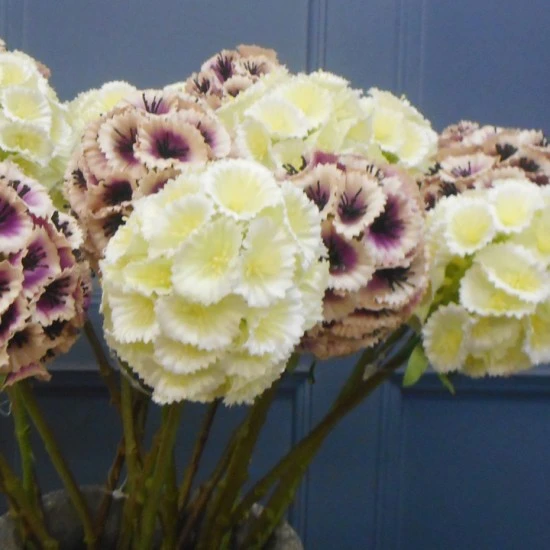 Artificial Honeycomb Flowers Cream 58cm - H050 H4