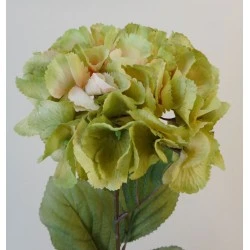 Artificial Hydrangeas Green 68cm - H112 G1