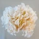 Artificial Hydrangeas Bundle Blush Peach 28cm - H142 B1