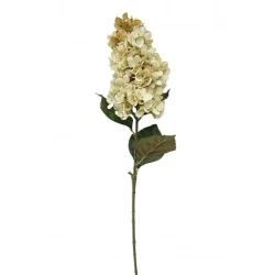 Cream Spear Hydrangea 75cm - H010 H3