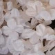 Fleur Artificial Hydrangeas White 68cm - H036 