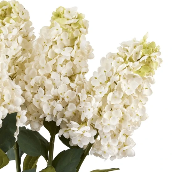 Cream Spear Hydrangea 88cm - H010 BX21