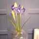 Silk Iris Purple 2 Flowers 63cm - IR002 I2