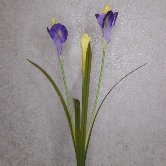 Silk Iris Purple 2 Flowers 63cm - IR002 I2