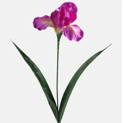 Artificial Irises Magenta Pink 60cm - IR004 LL1