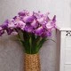 Luxury Flag Iris and Bud Pink 90cm - IR009 EE1