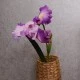 Luxury Flag Iris and Bud Pink 90cm - IR009 EE1