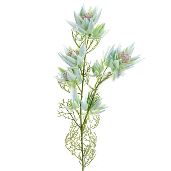 Artificial Leucadendron Blue Green 68cm - L057 I2