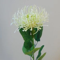 Artificial Leucospermum Protea Cream 45cm - L051 BX22