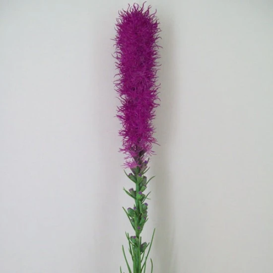 Artificial Liatris Stem 80cm - L126 H4