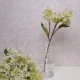 Short Stem Artificial Lilac Blossom Cream 37cm - L020 I3