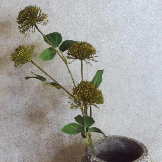 Fireball Lily Olive Green 73cm - L047 AA1