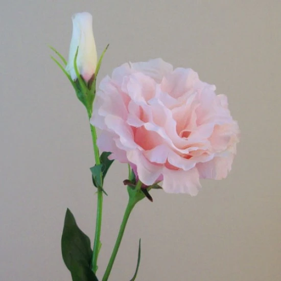 Artificial Double Eustoma Candy Crush Pink 62cm - L160 E4