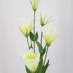 Artificial Lisianthus Cream 80cm - L017B H4