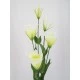 Artificial Lisianthus Cream 80cm - L017B H4