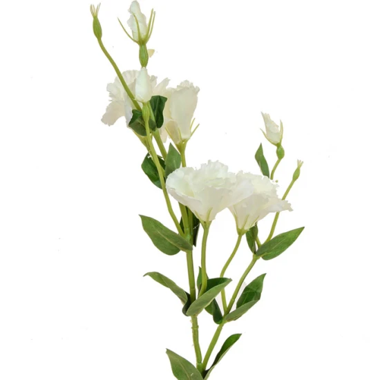 Artificial Eustoma Lisianthus Cream 80cm - L158