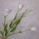 Artificial Lisianthus Lavender Purple 80cm - L017A E3