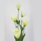Artificial Lisianthus Cream 80cm - L017B H4