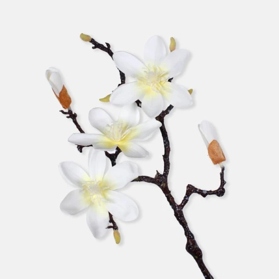 Artificial Magnolias Branch Cream 61cm - M095 S1