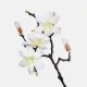 Artificial Magnolias Branch Cream 61cm - M095 S1