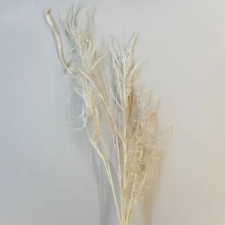 English Meadow Artificial Grasses Cream | Faux Dried - GRA028 EE3