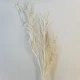 English Meadow Artificial Grasses Cream | Faux Dried - GRA028 EE3