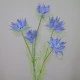 Artificial Nigella Love in the Mist Blue 56cm - N011 KK3