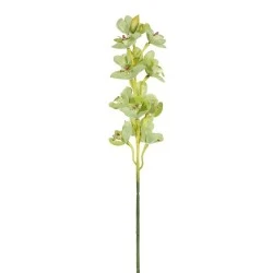 Artificial Cymbidium Orchid Green 76cm - O076 E1