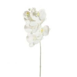 Artificial Phalaenopsis Orchid Pure White 77cm - O020 K4