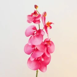 Artificial Phalaenopsis Orchids Pink 75cm - O022 K4