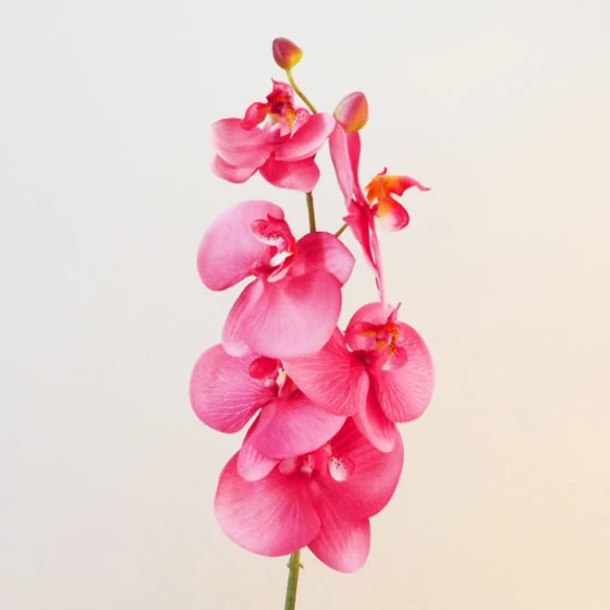 Artificial Phalaenopsis Orchids Pink 75cm - O022 K4