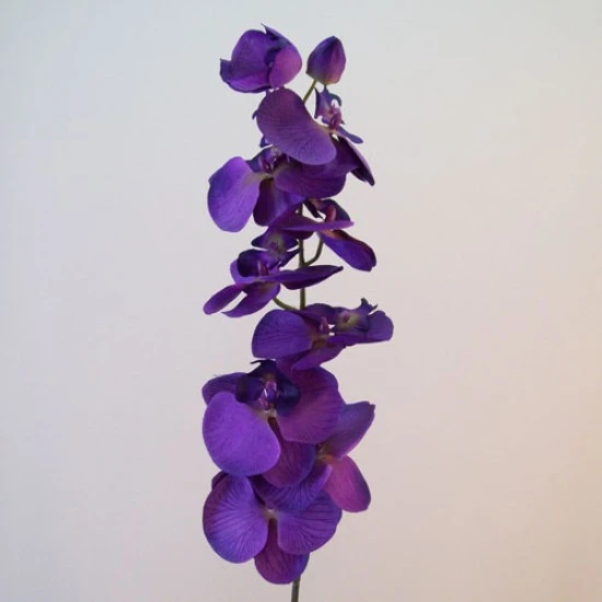 Artificial Phalaenopsis Orchids Purple Passion 92cm - O101 I4