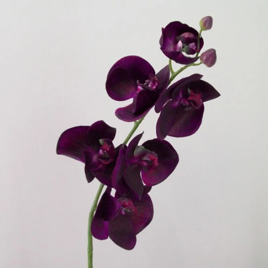 Real Touch Phalaenopsis Orchids Aubergine Purple 75cm - O085 J4