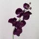 Real Touch Phalaenopsis Orchids Aubergine Purple 75cm - O085 J4