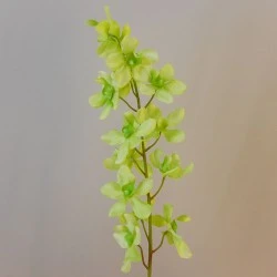 Carnival Artificial Vanda Orchid Flowers Lime Green 72cm - O006 E1