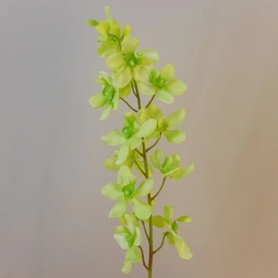 Carnival Artificial Vanda Orchid Flowers Lime Green 72cm - O006 E1