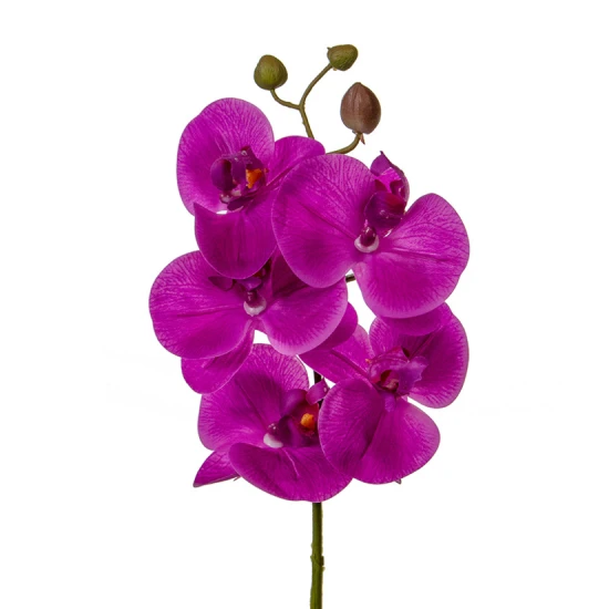 Real Touch Phalaenopsis Orchid Magenta Pink 60cm - O087