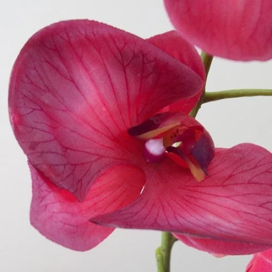 Real Touch Phalaenopsis Orchid Dark Pink 75cm - O082 K4