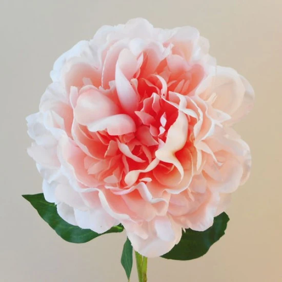 Anastasia Artificial Peony Coral Pink 56cm - P241 L3