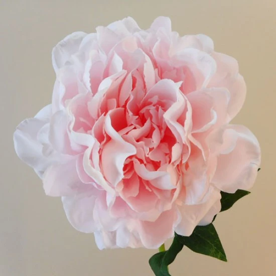 Anastasia Artificial Peony Pale Pink 56cm - P242 BX19