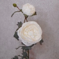 Artificial Peony Flowers Cream 72cm - P133 KK4