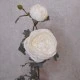 Artificial Peony Flowers Cream 72cm - P133 KK4