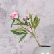 Real Touch Peony Buds Pink 48cm - P039 