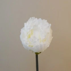 Artificial Peony Cream Short Stem 35cm - P216 K2